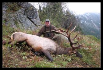 Andy Elk